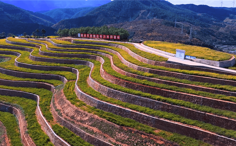 党建引领促发展 “护仓”先锋勇攻坚