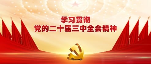 党的二十届三中央委员会第三次全体会议