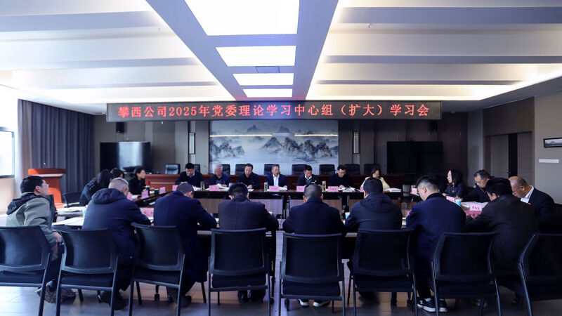 攀西公司党委理论学习中心组 开展2024年度民主生活会会前集中学习研讨