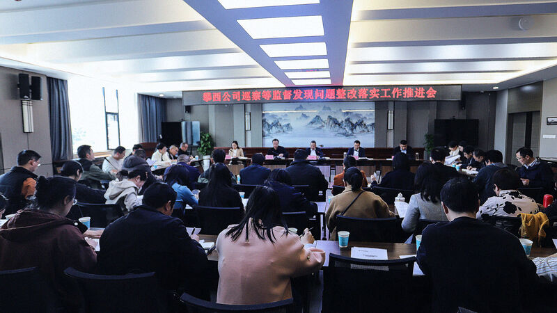 攀西公司召开巡察纪检审计整改工作推进会