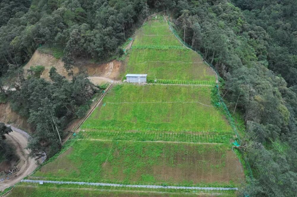 微信图片_20250312100323