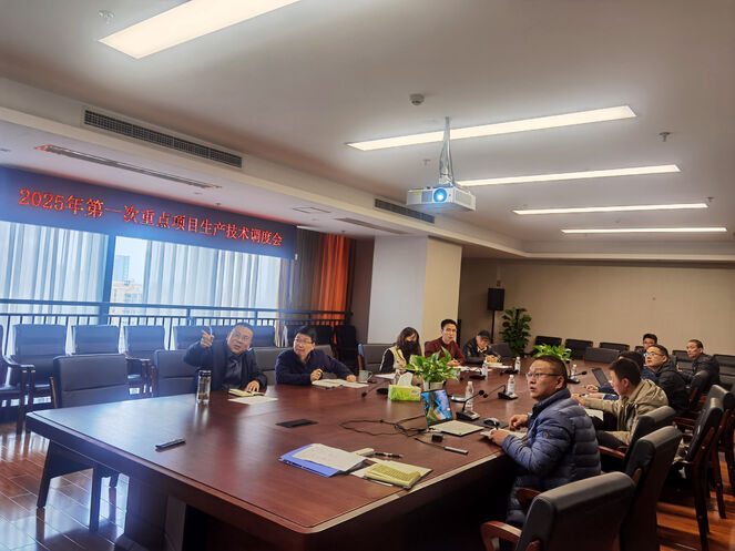 矿勘集团召开2025年第一次重点项目生产技术调度会