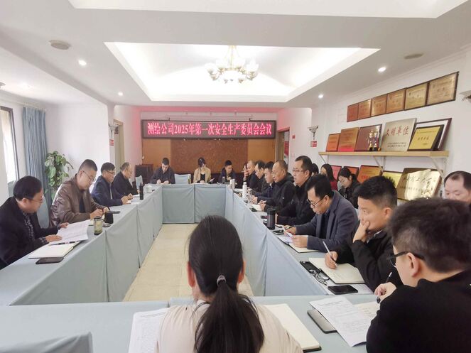 测绘公司召开2025年第一次安全生产委员会会议
