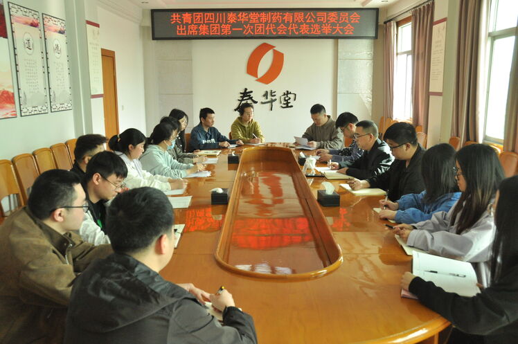 泰华堂制药团委召开集团第一次团代会代表选举大会