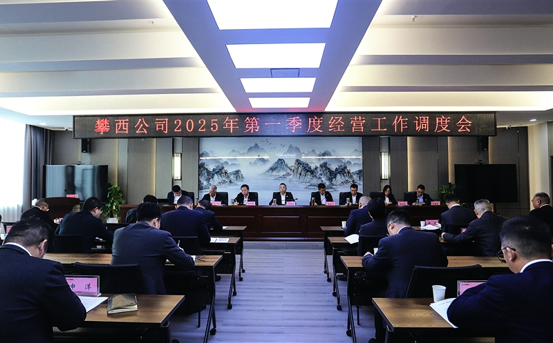 攀西公司召开2025年一季度经营工作调度会