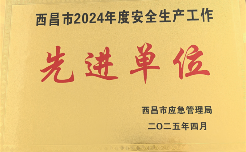 攀西商贸公司荣获“西昌市2024年度安全生产工作先进单位”称号