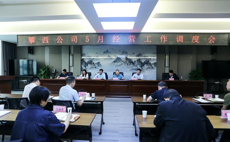 攀西公司召开2025年5月经营工作调度会