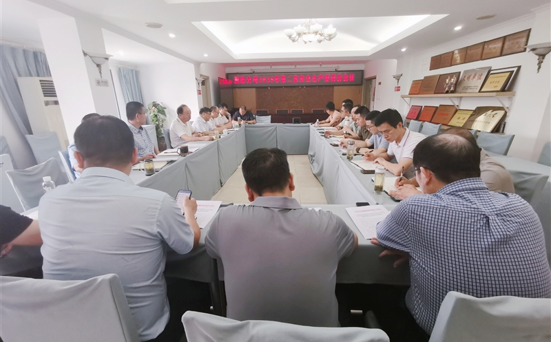 测绘公司召开2025年第二次安全生产委员会会议