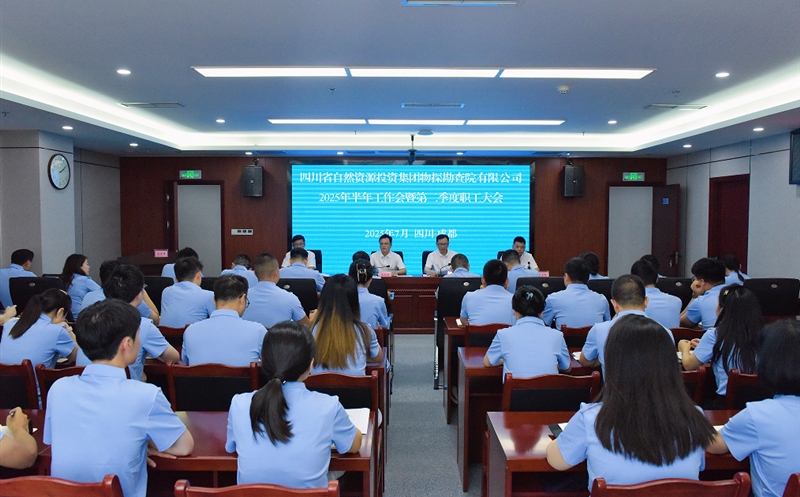 物探院召开2025年半年工作会暨第二季度职工大会