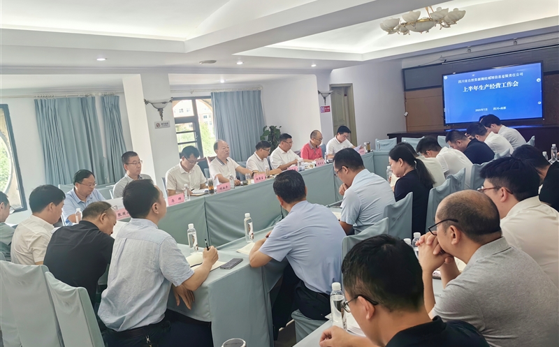 测绘公司召开2025年上半年生产经营座谈会