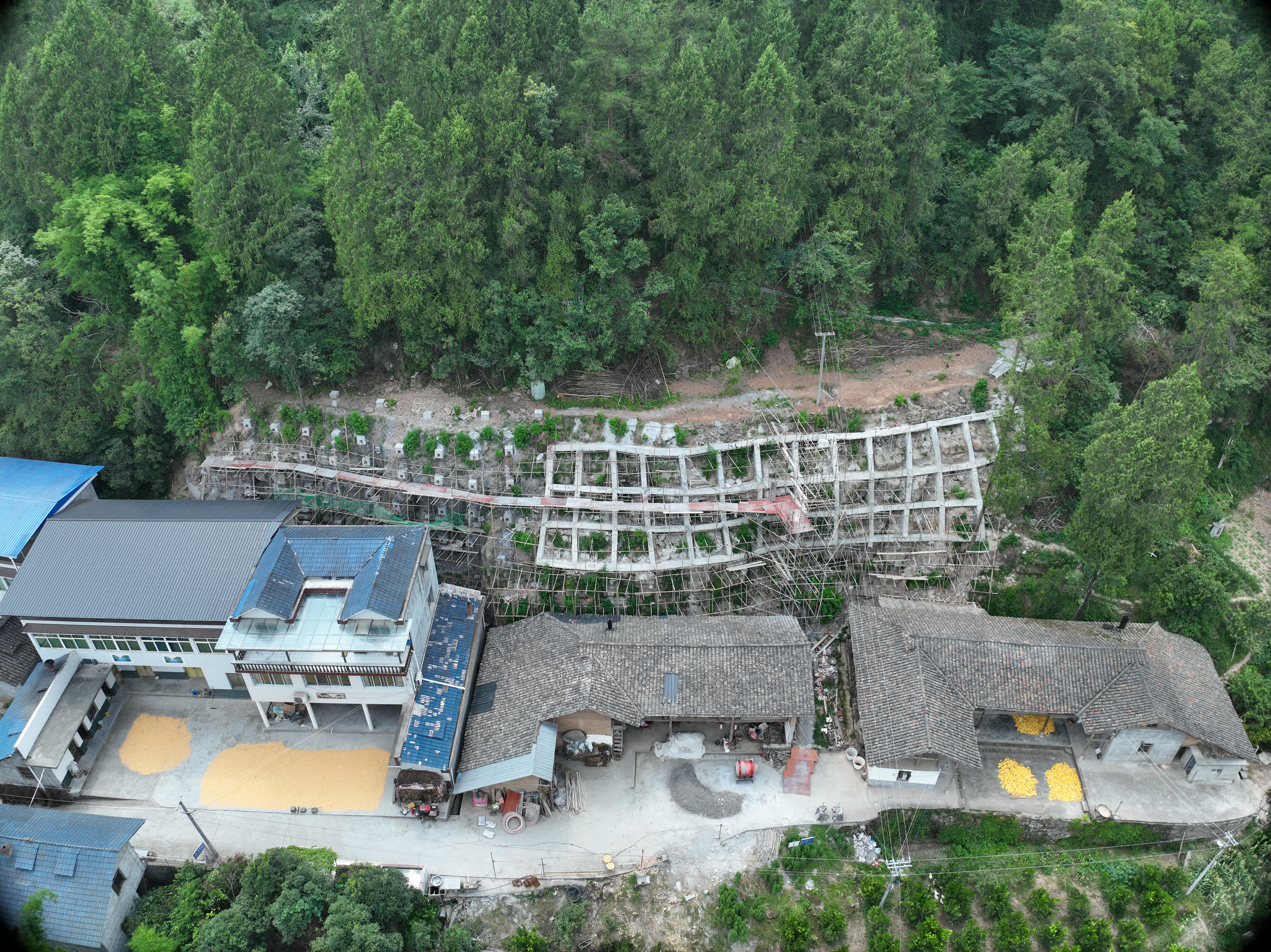 微信图片_2025-08-12_160427_447 - 副本