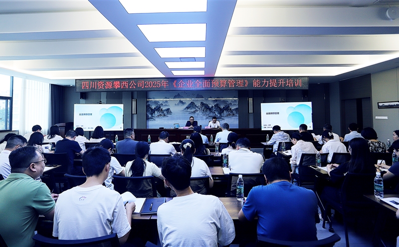 攀西公司举办全面预算管理能力提升专题培训