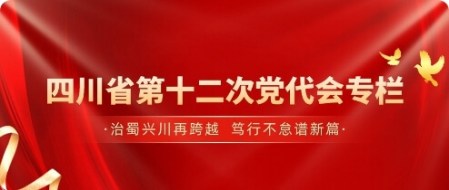 中国共产党第十二次党代会专栏