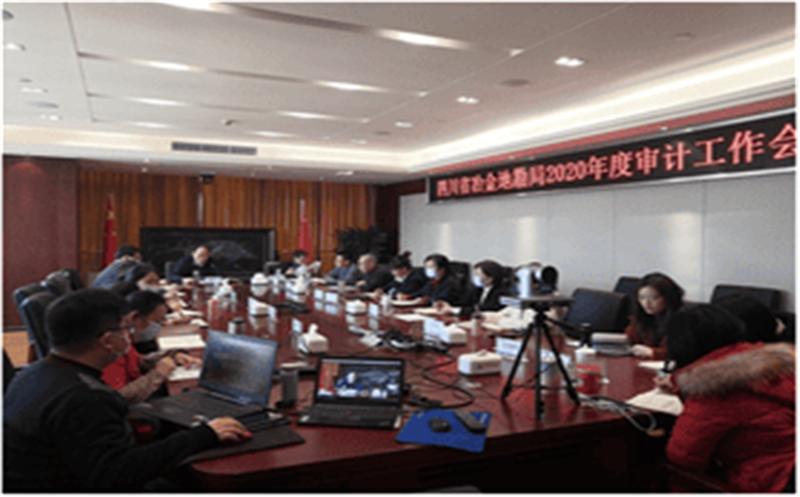 局召开2020年审计工作会