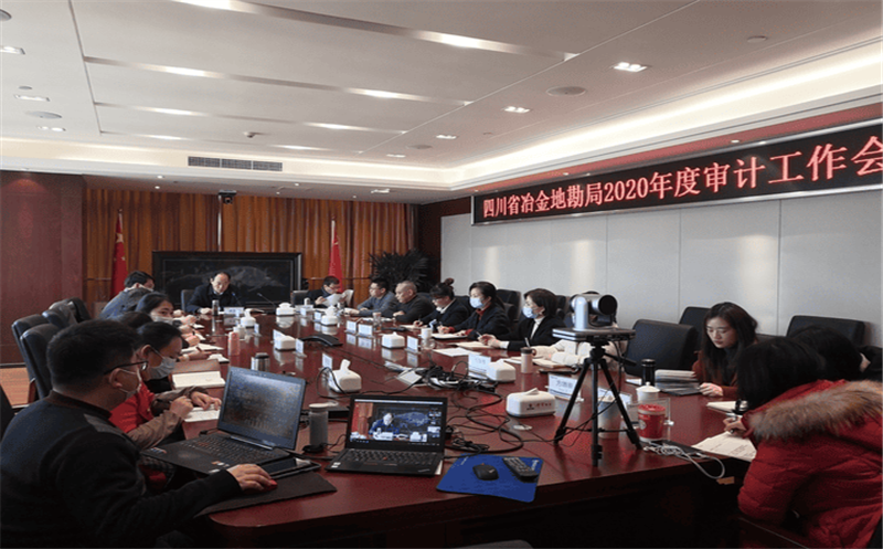 局召开2020年度审计工作会