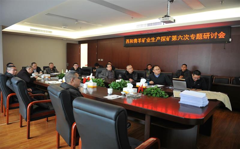 西和青羊铅锌矿深部及外围找矿综合研究第六次专题研讨会顺利召开