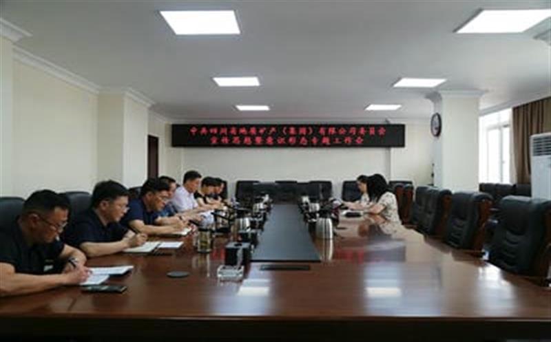 地矿集团党委召开宣传思想暨意识形态专题工作会