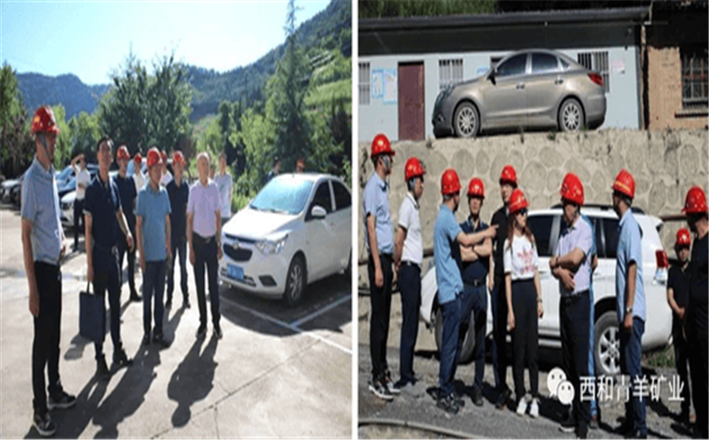 多彩青羊 大美鑫顺 鑫顺人泼墨挥毫绽芳华 丹青溢彩送祝福 浓墨淡彩庆祝鑫顺二十载 7月1日，，，，，西和青羊矿业在庆祝七一建党之际，，，，，隆重举办了鑫顺矿业成立20周年艺术作品展，，，，，42件优秀艺术作品在青羊矿业办公楼参展，，，，，向鑫顺矿业成立20周年献礼！ 本次参展作品形式包含书法、绘画、刺绣