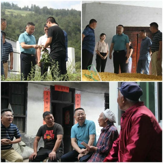 安博电竞·(anbo)官方网站