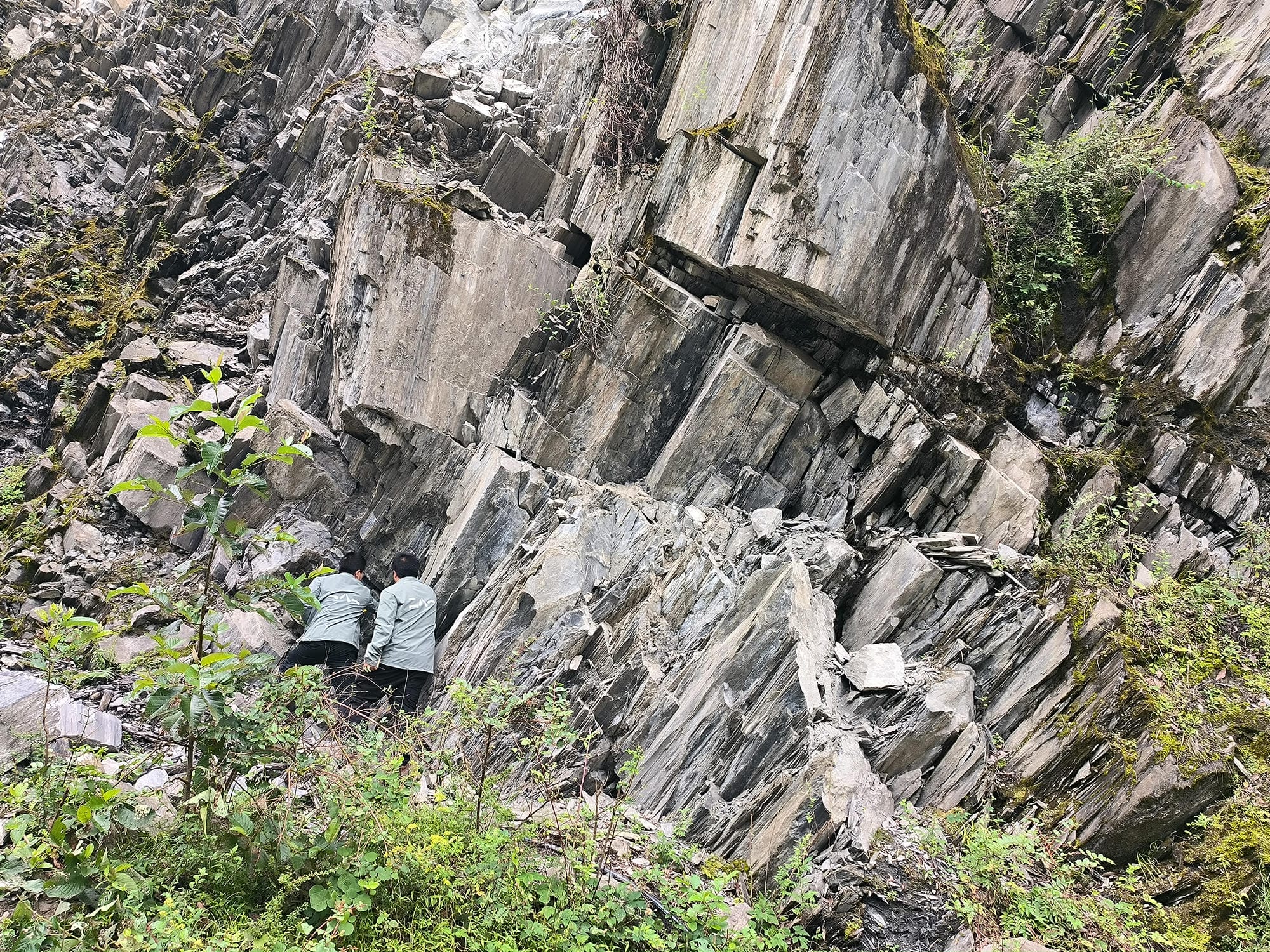 安博电竞·(anbo)官方网站