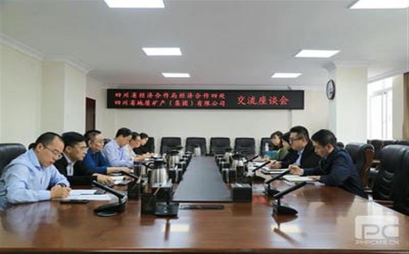 四川省经济合作局能源化工新材料处到地矿集团交流座谈