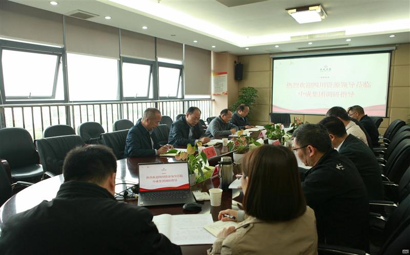 武文祥一行到中成集团调研指导工作