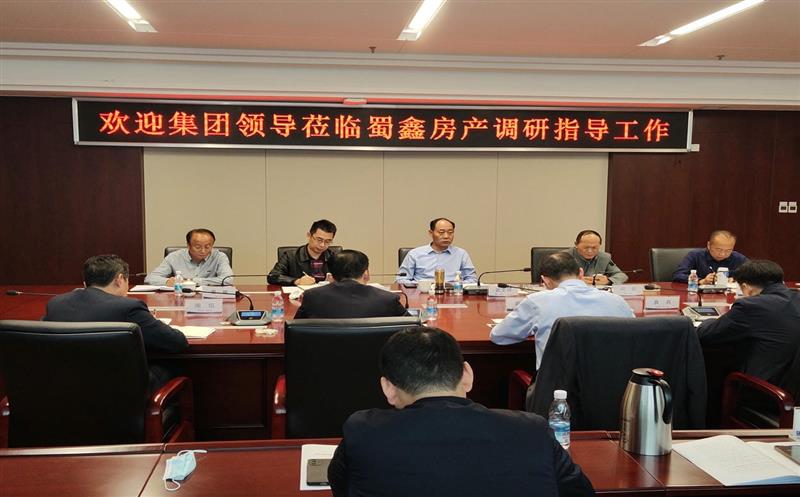 武文祥带队到蜀鑫房产调研指导工作