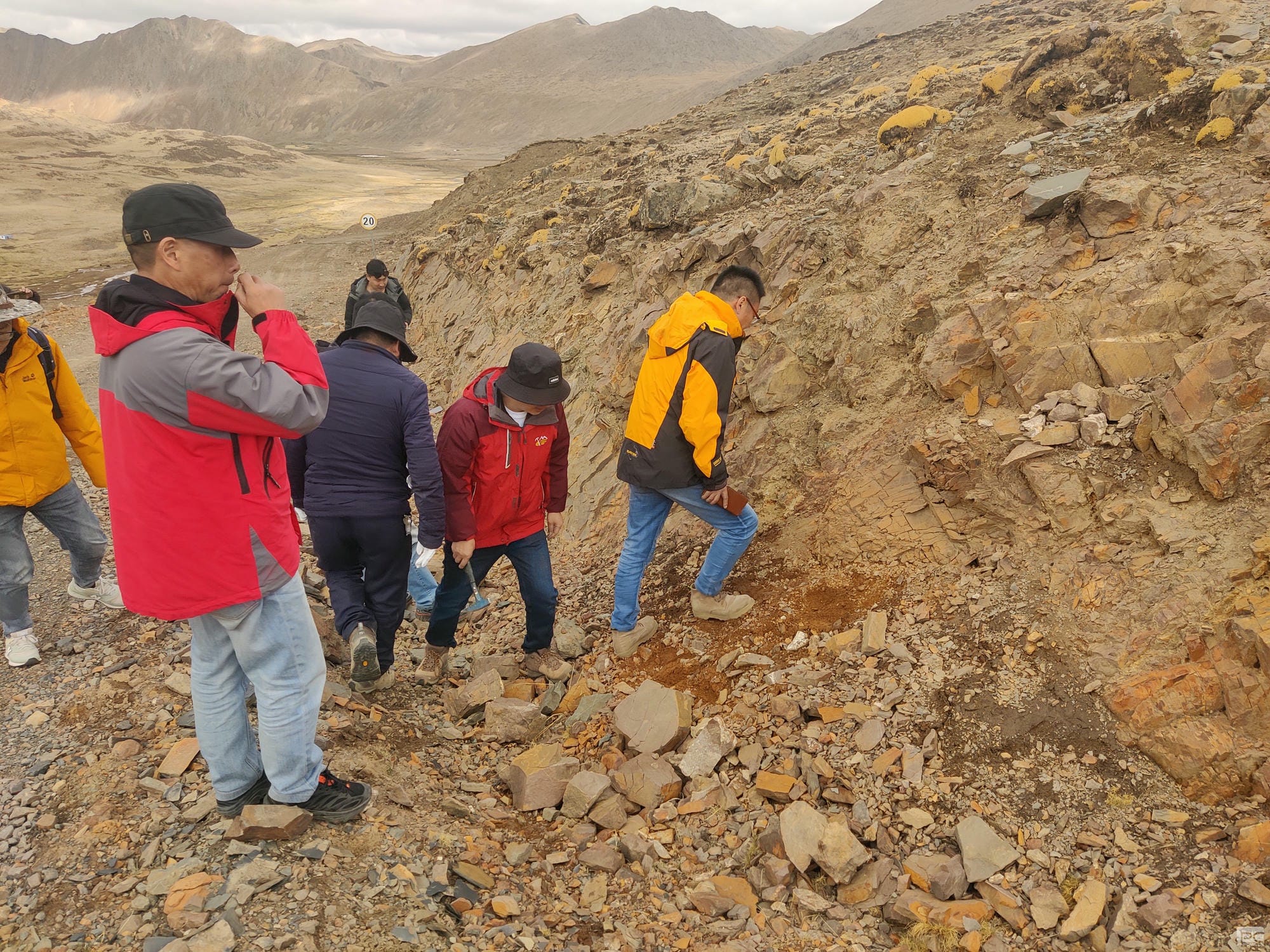 安博电竞·(anbo)官方网站