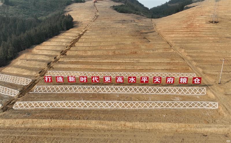 系统性谋划，，，，，，，，高标准实施——四川安博电竞助力建设新时代更高水平“天府粮仓”