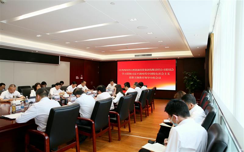 集团召开主题教育领导小组会议