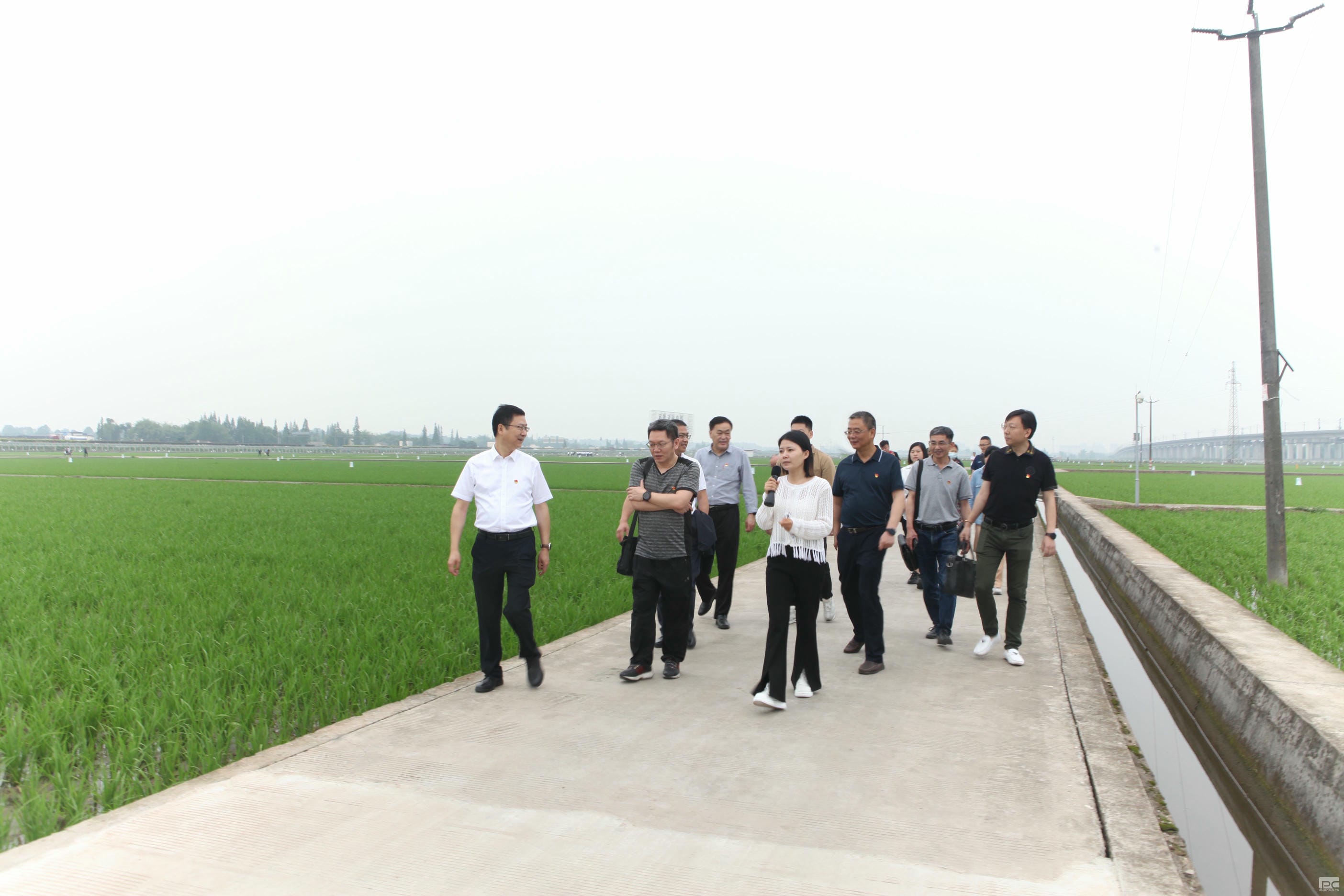 安博电竞·(anbo)官方网站