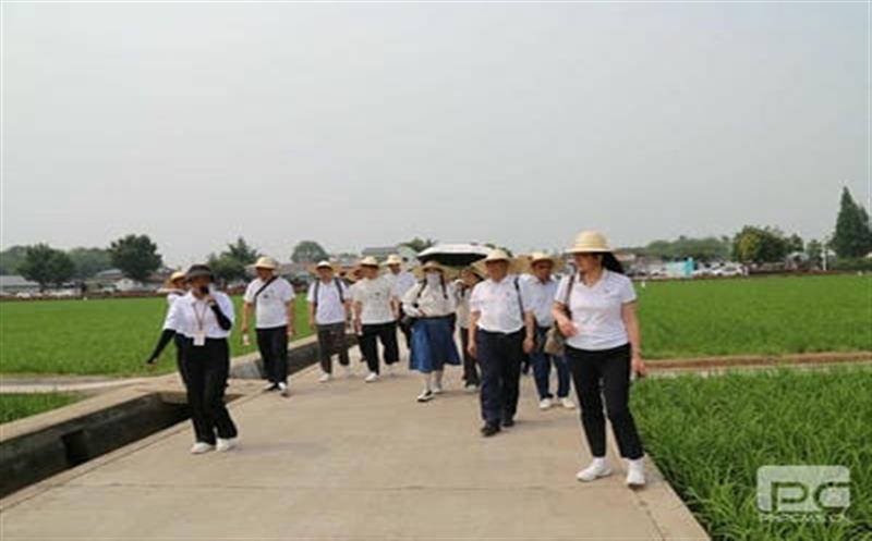 主题教育｜华锋钻探党委开展“永丰村”现场教学活动