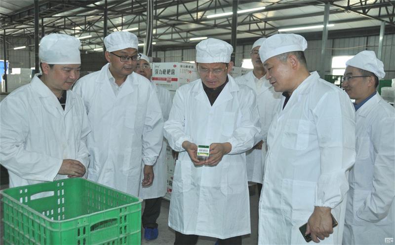 集团党委委员、职工董事、工会主席杜春茂一行赴泰华堂制药调研指导工作