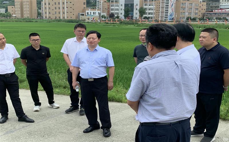 四川省发展改革委（四川省能源局）煤炭处处长邓伟一行到古蔺县大村镇古叙矿区大村井田开展调研