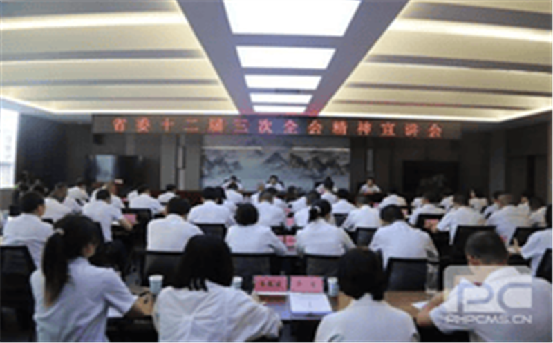 集团党委委员、总工程师李仕荣赴攀西地区调研指导工作