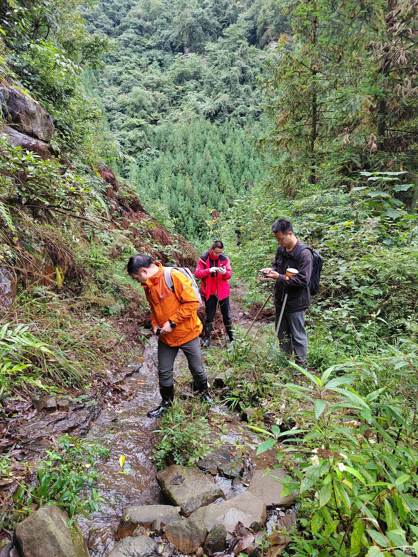 安博电竞·(anbo)官方网站