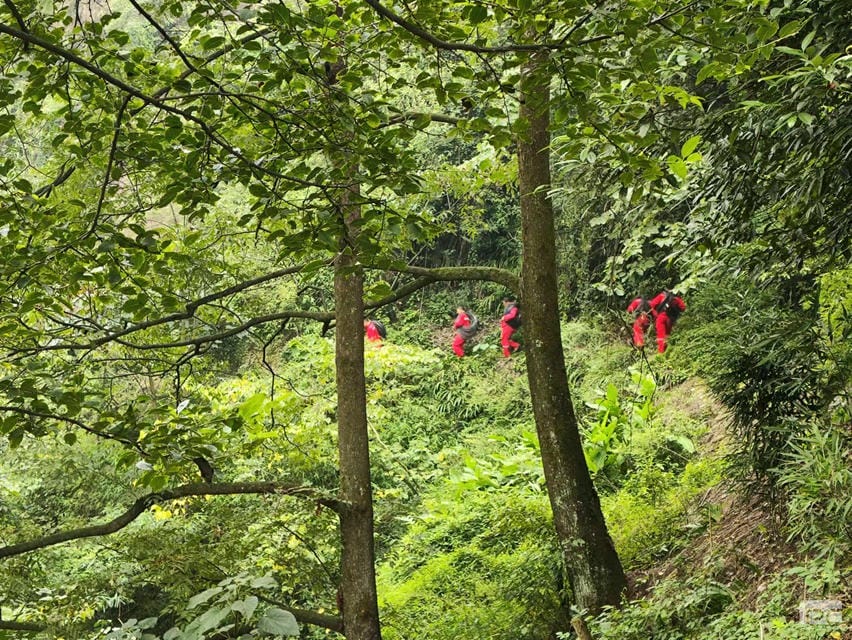 安博电竞·(anbo)官方网站