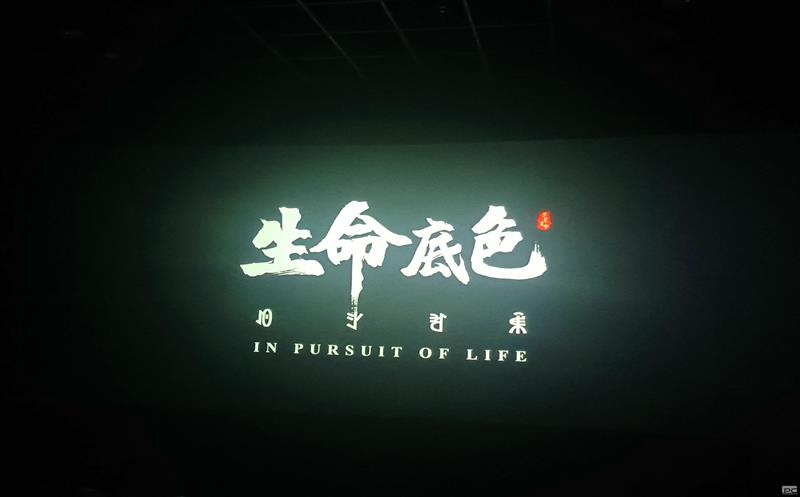 地矿物资公司组织观看电影《生命底色》