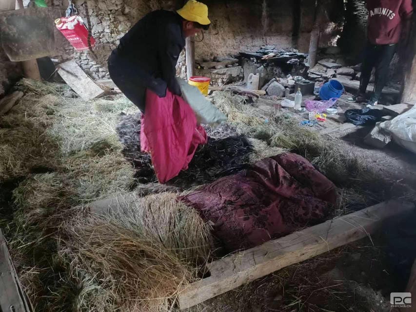 安博电竞·(anbo)官方网站