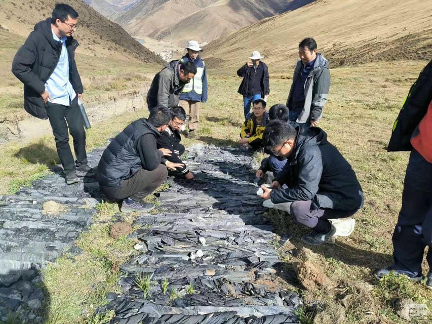 安博电竞·(anbo)官方网站