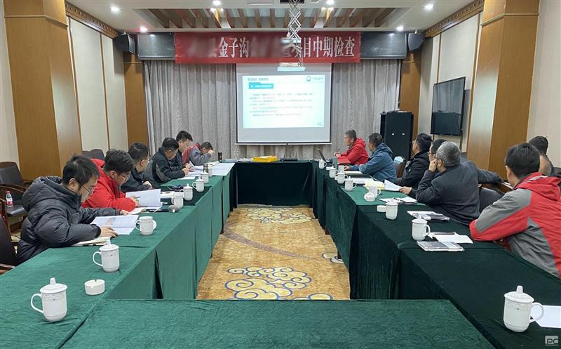 区调队金子沟项目顺利通过中期检查