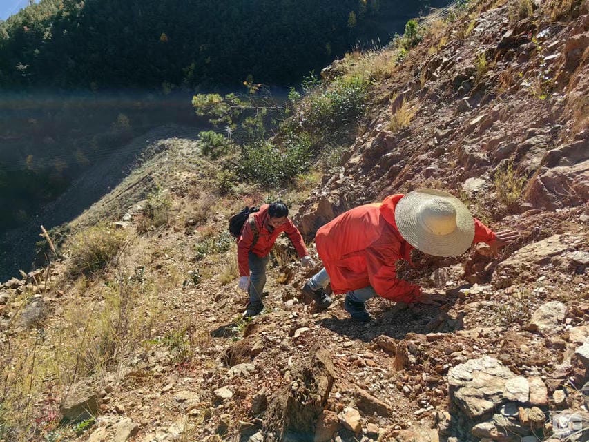 安博电竞·(anbo)官方网站