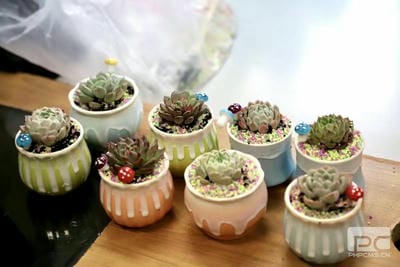 安博电竞·(anbo)官方网站