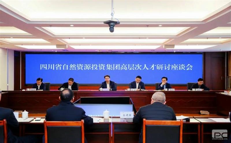 集团召开高层次人才研讨座谈会