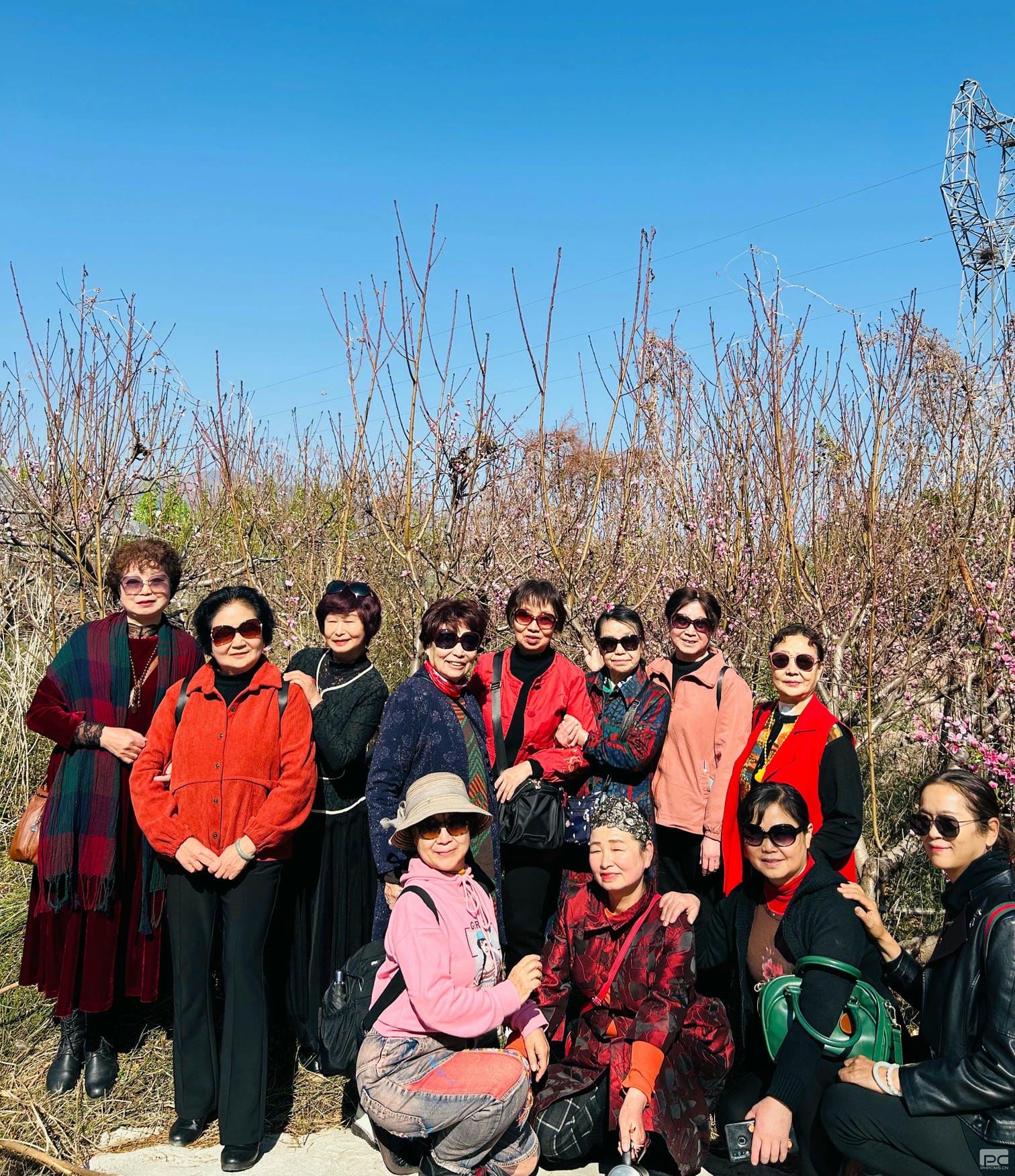 安博电竞·(anbo)官方网站