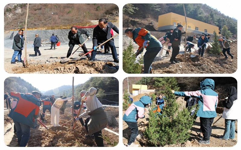 “植”此青绿，，，，，，，共聚青羊——鑫顺矿业开展2024新春绿色行植树活动