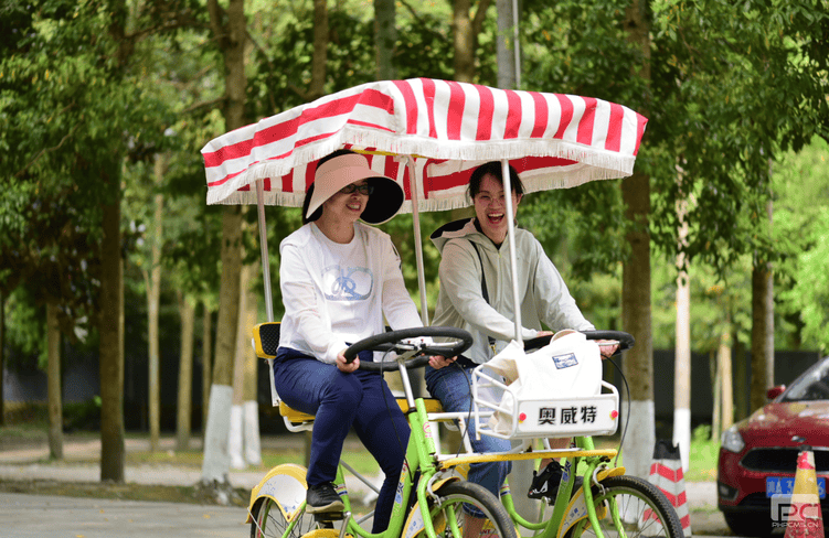 安博电竞·(anbo)官方网站