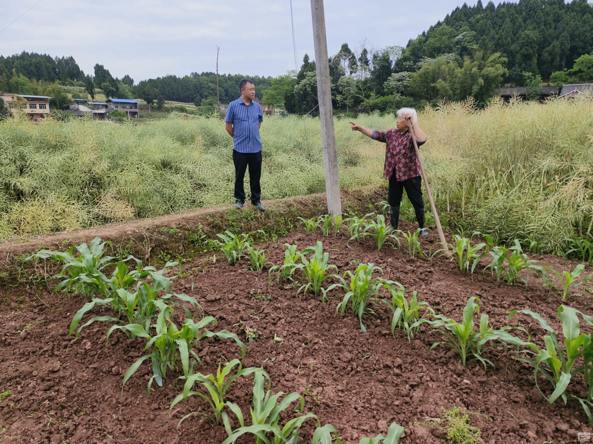 安博电竞·(anbo)官方网站