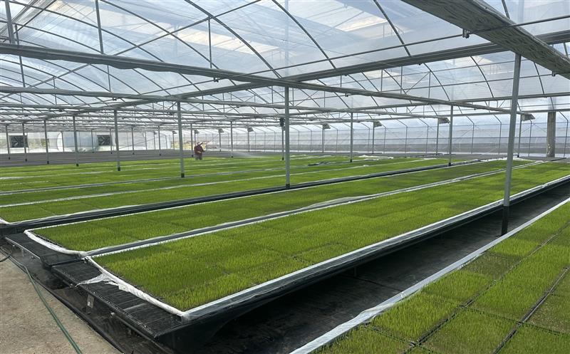 坚守一线  抢抓农时 助力新时代更高水平的“天府粮仓”建设