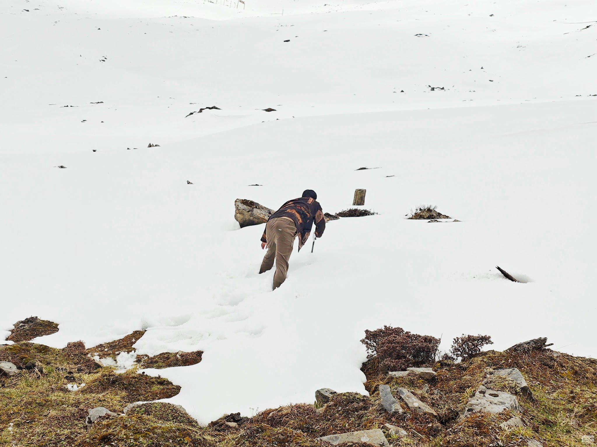 安博电竞·(anbo)官方网站